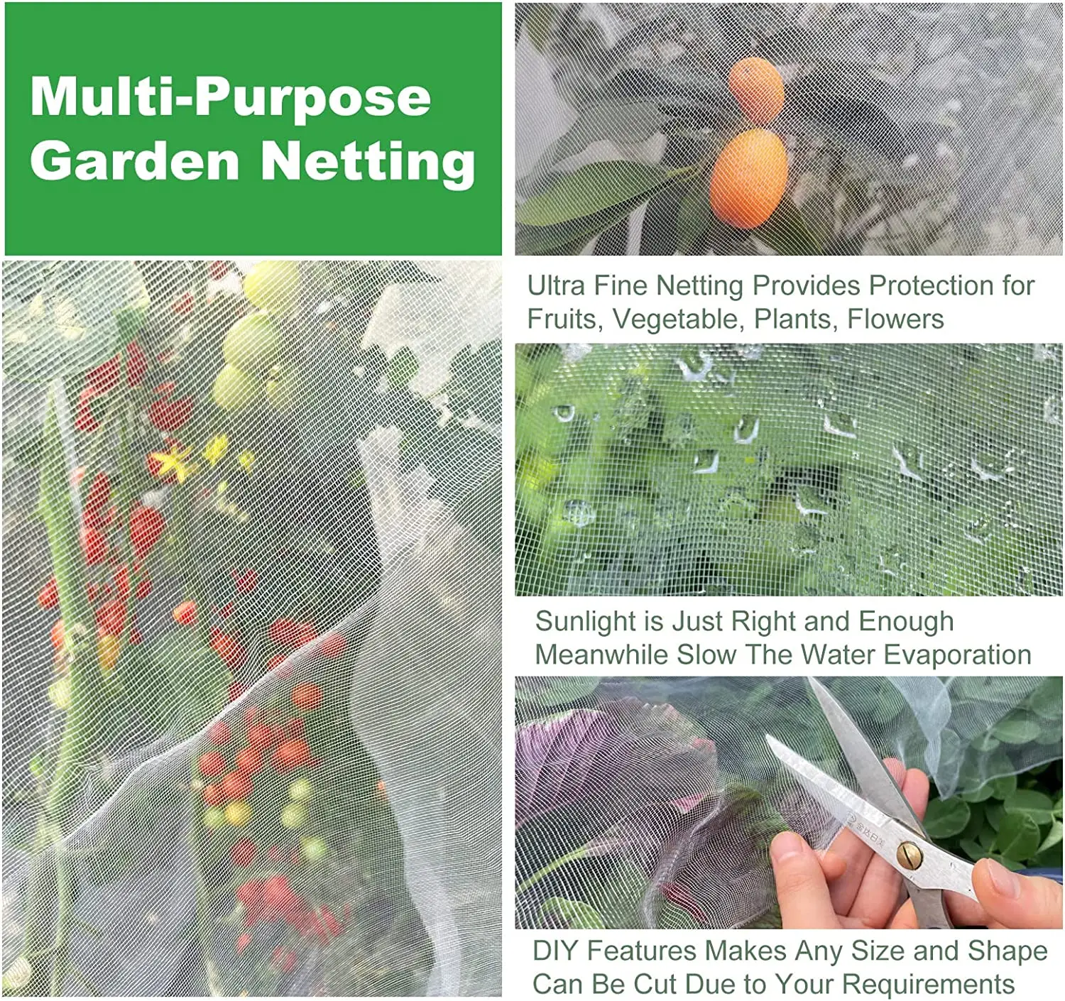 Slide image 2a3a04c84da34a449a4d1fc712f9fbc6