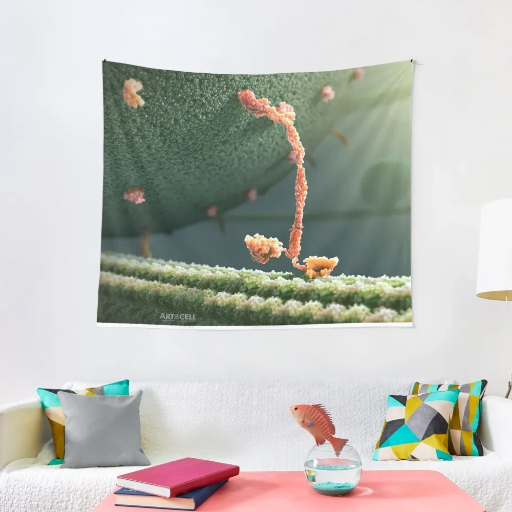 

Kinesin Protein Walking by John Liebler Tapestry Room Aesthetic Room Decore Aesthetic Bedrooms Decorations Tapestry