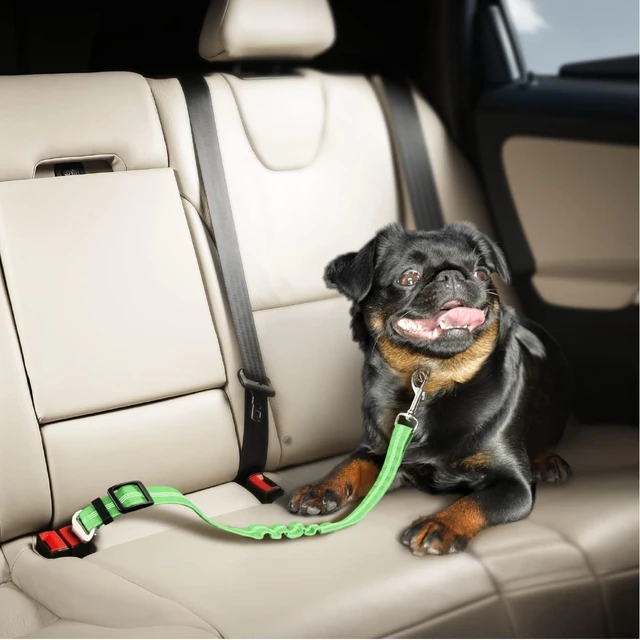 Ceinture sécurité animaux voiture - Image 4