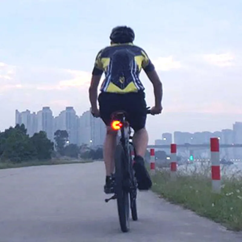 Рисунок 3 - Интеллектуальный беспроводной сигнал