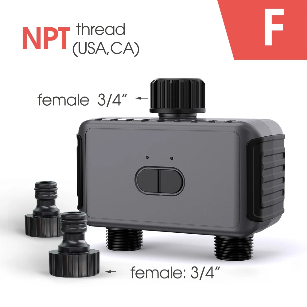Timer NPT only