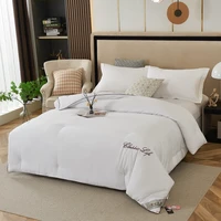 100% Natural Mulberry Silk Comforter Luxury Queen King Size Duvet Summer Winter Thick Blanket Quilt Single Couple Bedding Filler 1