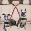 1Pcs Pet Dog Seat Belt Car Supplies Dog Cat Car Fixed Dog Chain Buffer Traction Car Safety Rope One Belt Two Dog Leash 6