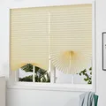 Blind Shade Beige