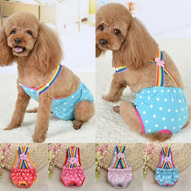 Lovely Breathable Pet Physiological Pants Striped Female Dog Sanitary  Panties Shorts Underwear Sanitary Diaper Washable Shorts - AliExpress