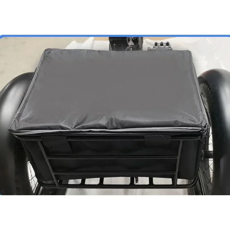 3 Wheel Electric bicycle 500W Powerful Motor 48V10AH Remove lithium battery Snow E-bike 20 inch Fat Tire Cargo Electric Tricycle