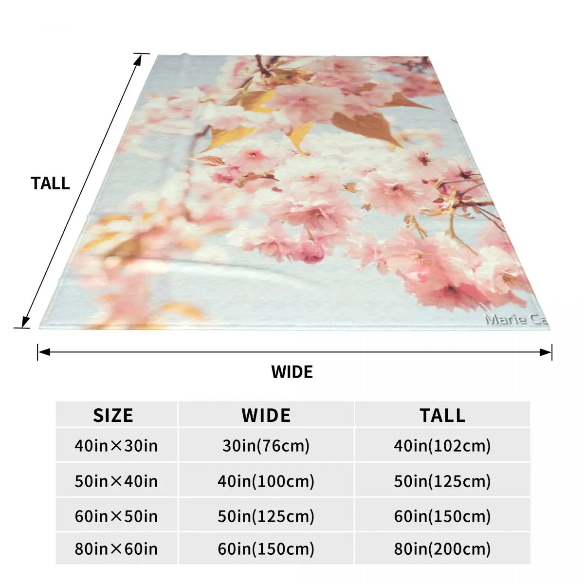 ���� ħ��� ���� �帲 ��� ħ�뺸, �׸� ���� ��ġ ħ�뺸