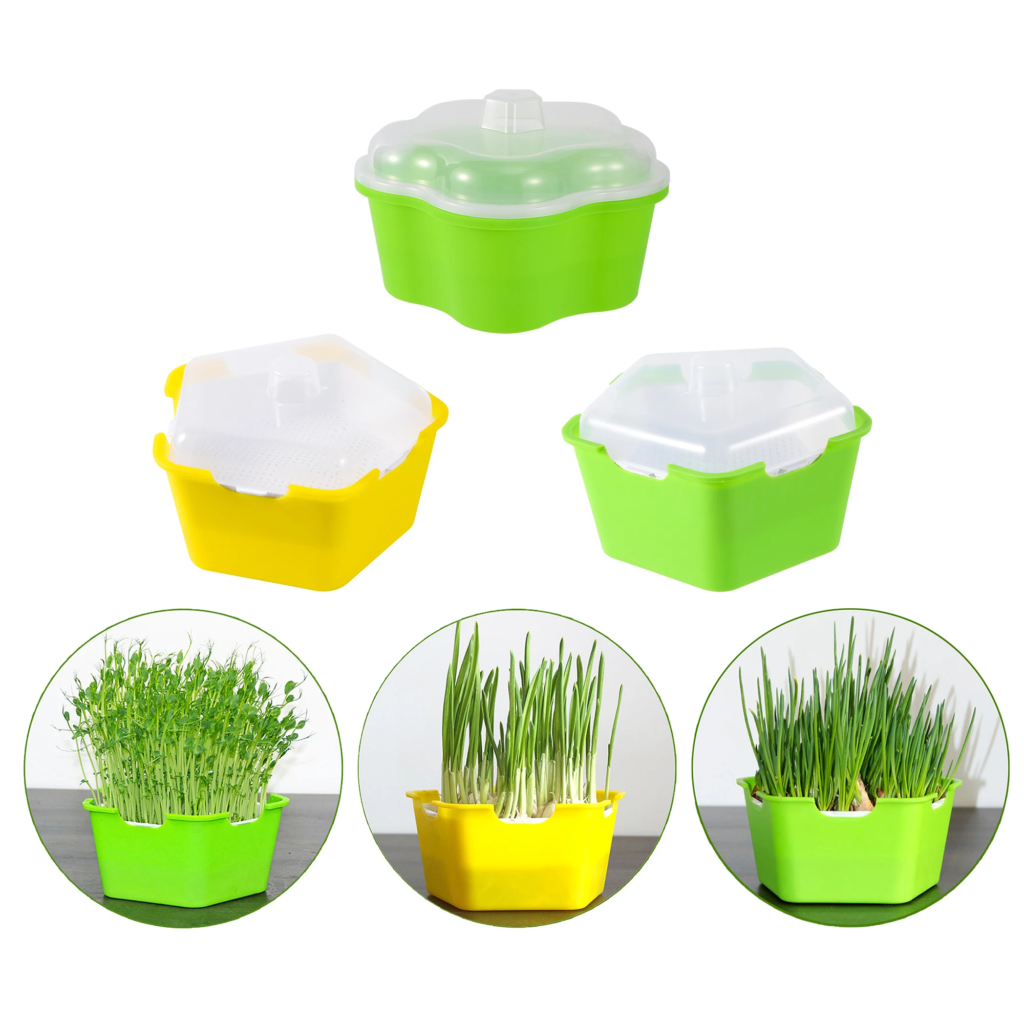 Pentagonal Cover Seed Germination Tray Sprout Tray Seedling Box Soil ...