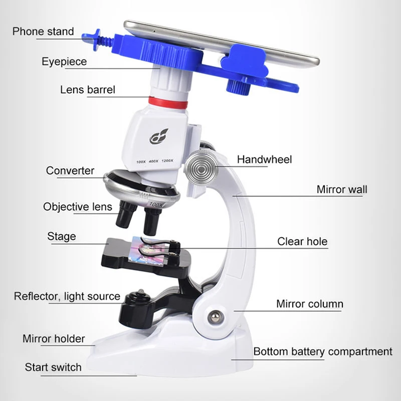 Minifinker Kit scientifique de microscope pour enfants Ensemble de