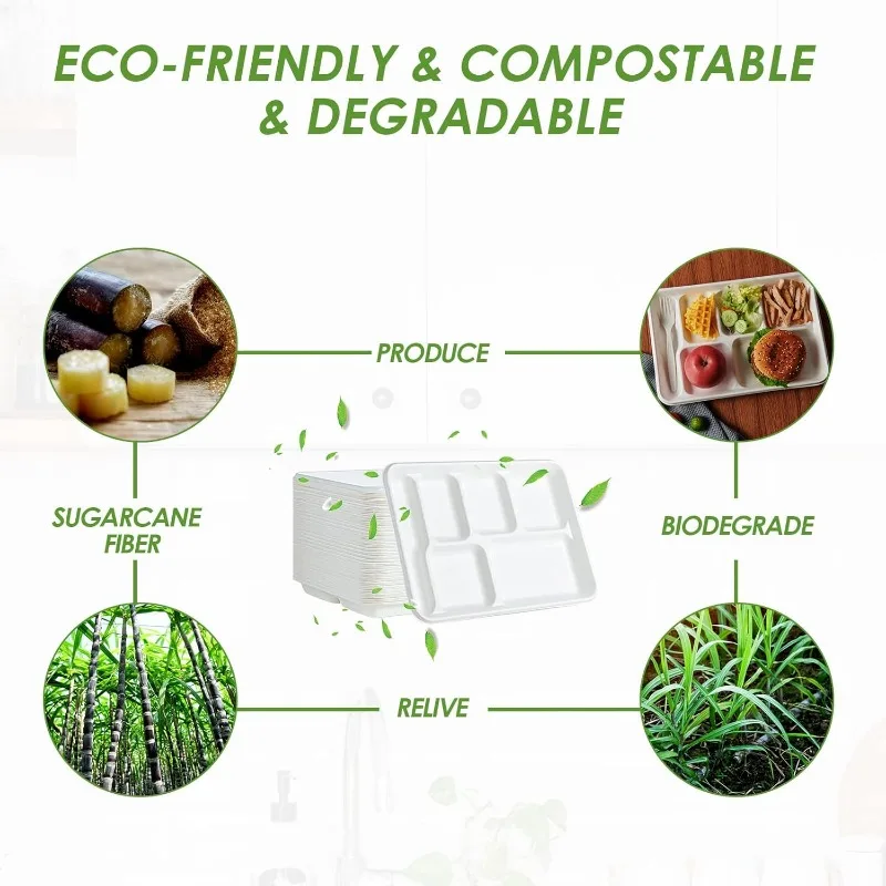 Compostable 6 Compartment Plates, 90 Pack Compartment Paper Plate, 12.5x8.6 inch Disposable School Lunch