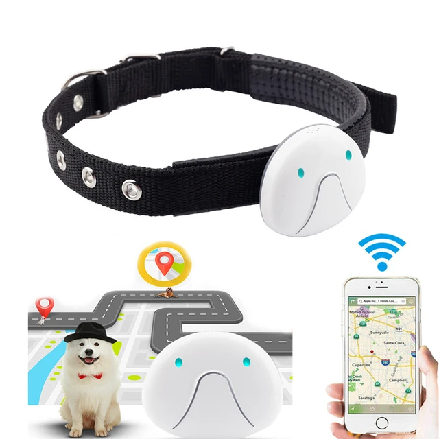 Kedi köpek tasması GPS izleme IP65 su geçirmez sesli arama Mini bulucu  Tracer cihazı ücretsiz App evcil hayvan GPS takip cihazı köpek kedi tasma _  - AliExpress Mobile