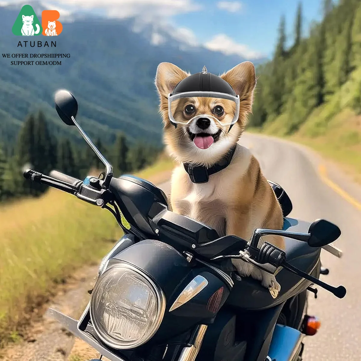 Small Dog Motorcycle Helmet 2