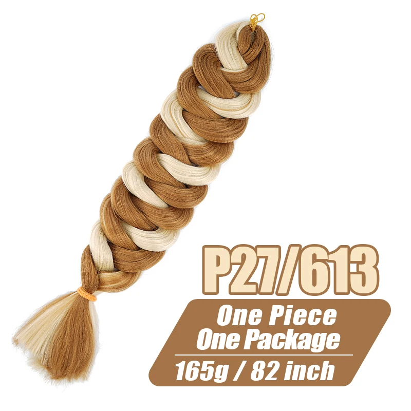 P27I613
