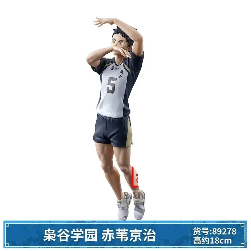 S9eed4f8a94d641a9b15e4cbc16104441b - Haikyuu Store