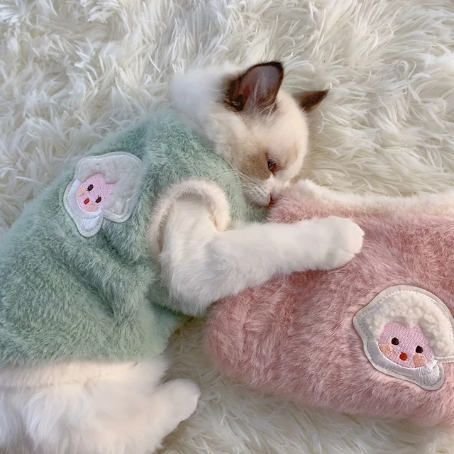 Warm Winter Kitten Clothes 1