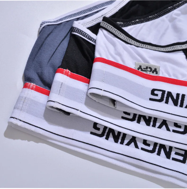 5PCS/LOT Men's Three-Dimensional Pouch Cup Underpants, AC Design Coolflex Briefs Male Underwear Black/Blue/Gray/White M L XL XXL 6