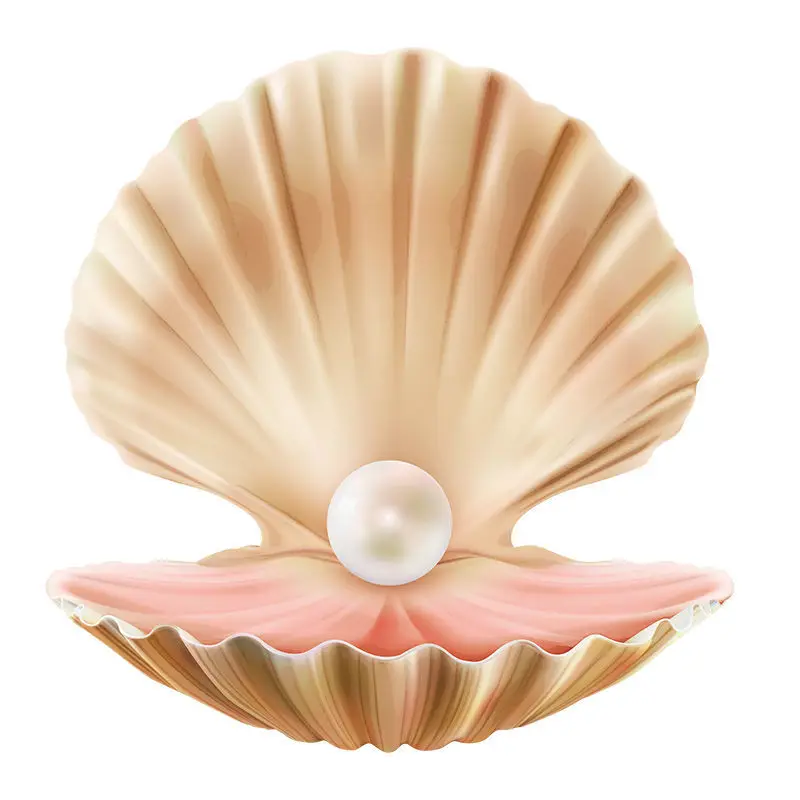 Ocean Beach Pearl Shell Wall Sticker Bathroom Toilet Living Room Cabinet Home Decoration wall sticker