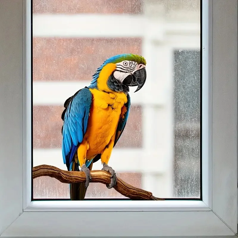 Creative Cartoon Wall Sticker Parrot，Window Sticker For Bedroom, Living Room, Glass Door And Window, Home Decoration