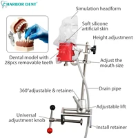 Modèle de tête Simple simulateur dentaire mannequin fantôme avec dents pour dentiste enseignement pratique formation étude équipement de dentisterie 4