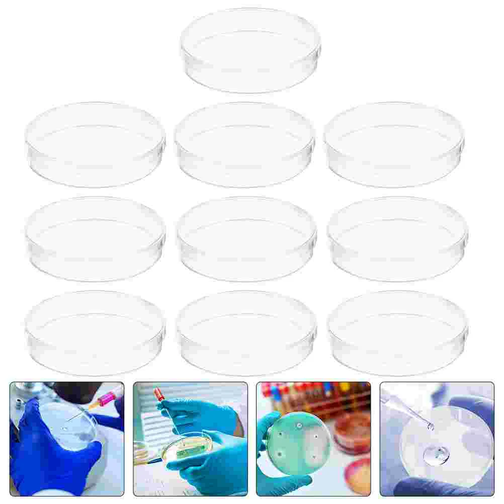 

10 Pcs Culture Plate Cell Petri Dishes Clear Transparent for Experiments Plastic Agar