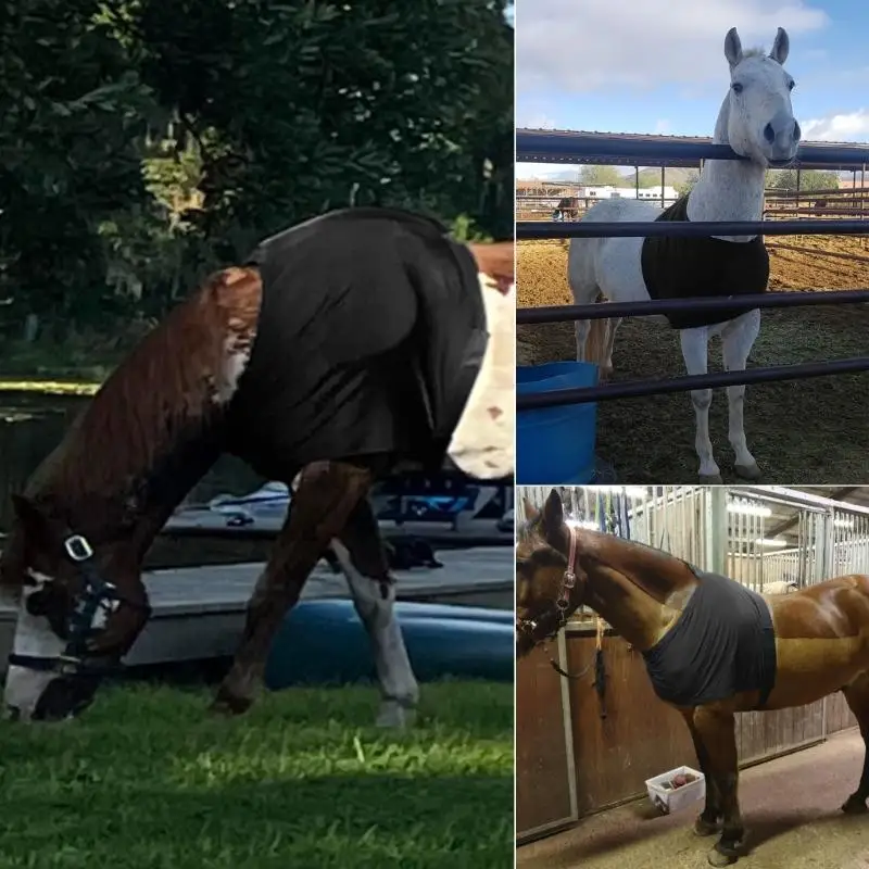 Stretch Horse Shoulder Guard AntiRub Bib Horses Chest Saver Wither Protector Breathable Horse Rugs for Equestrian Sport