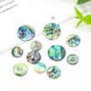 10PC Real New Zealand Abalone Shell Sparkling Round 2-hole Flatback Button Spacer Pendant Scrapbook Apparel Sewing Embellishment 2