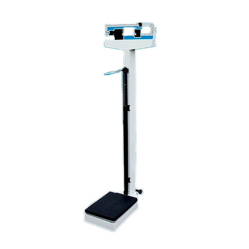 

Double Ruler Body Scale