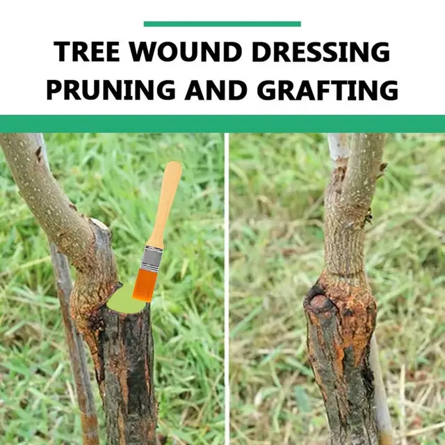Bonsai Healing Paste Tree Wound Sealer Paste - 100g Pruning Cut Protection With Brush Tree Wound Dressing