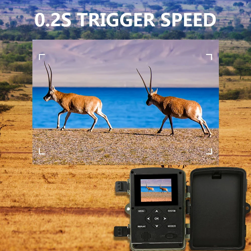 동물 관찰용 야외 야간 카메라, 농장 모니터용 사냥 트레일 카메라, 지지대 앱, GPS, 60MP, 4K, WiFi, PR4000