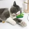 Cat Teaser Training Toy Kitty Teething Toy Scallion-shaped Cat Chew Toy for Teething Relief Training Soft Felt Pet for Kitty