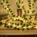 Green Rose Leaves