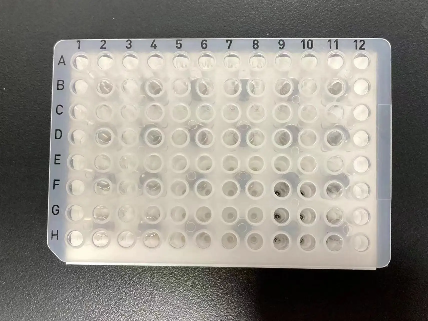 PCR Plate Magnetic Separation Rack 96-well Plate Laboratory Special ...