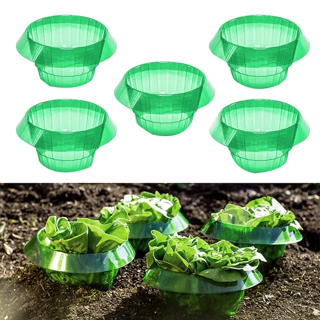 Kerti Cloche, 6 Csomag Csiganövény Védelmi Gallér, Csigavédelem Kémia Nélkül, Csigagallér Védi A Növényeket - Image 2