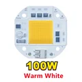 Warm White 100w