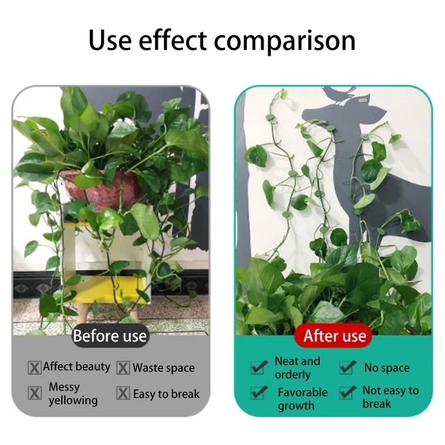 50-10Pcs Növényi Hegymászó Fali Rögzítő Klipek Ön Adagoló Rattan Szőlő Horog Láthatatlan Kertkötési Klip Fal Bilincsek - Image 5