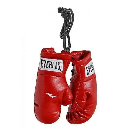 Everlast Mini Boxing Glove Keyring 