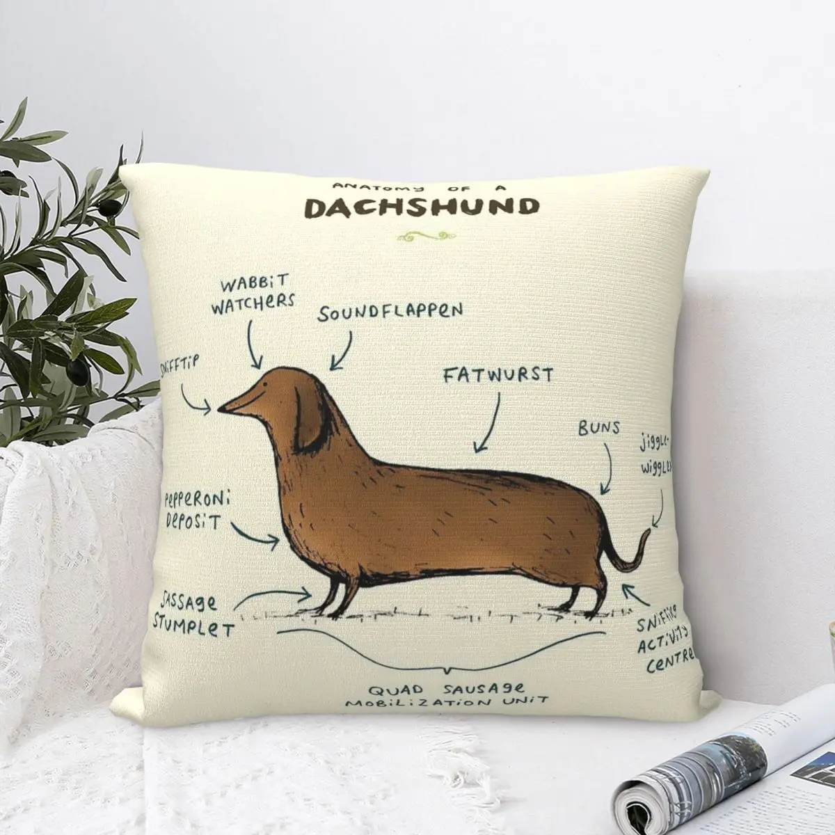 

Anatomy Of A Dachshund Square Pillowcase Polyester Pillow Cover Velvet Cushion Zip Decorative Comfort Throw Pillow For Home Car