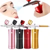 Mini Air Compressor Kit Air-Brush Paint Spray Gun Airbrush For Nail Art Tattoo Craft Cake Face Nano Fog Mist Sprayer 1