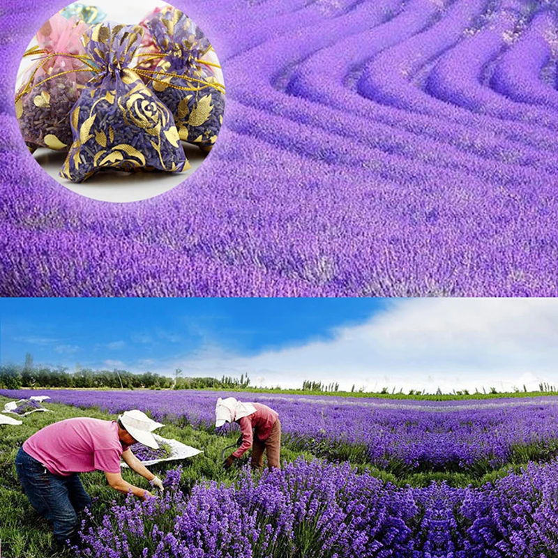 Lavender Fragrant Bags 1pc Filled With Naturally Dried Lavender Flower Buds Multi-purpose Drawer Bag Room Refreshing Air deodorant sachet bags,fragrance bags