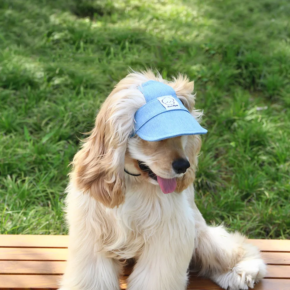 Cappello Per Cani Con Fori Orecchie - Berretto Regolabile In Denim, Protezione Solare Per Cani Media Taglia - Foto 7