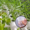 10/50pcs Hydroponic Planting Basket Plant Growing Container Garden Slotted Cup Hydroponic Vegetable Planting Seedling Cup Sponge 5