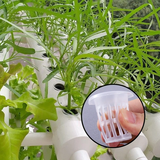 10/50pcs Hydroponic Planting Basket Plant Growing Container Garden Slotted Cup Hydroponic Vegetable Planting Seedling Cup Sponge 5