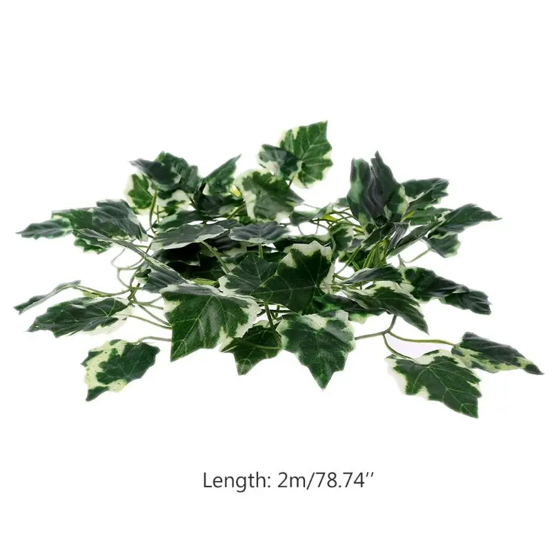 Leaves C