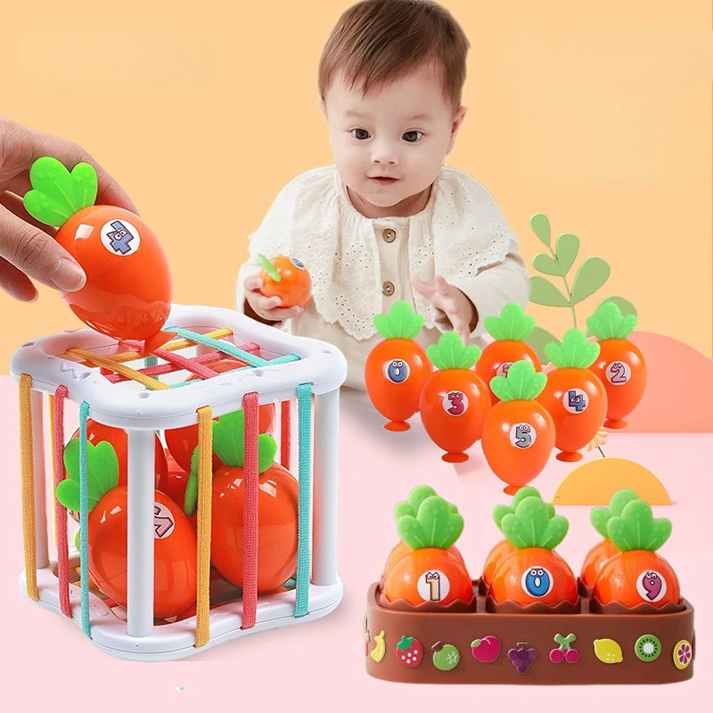 

Kid Digital Cognitive Pairing Sensory Training Toy Colorful Carrot Blocks Sorting Game Baby Montessori Learning Educational Toys