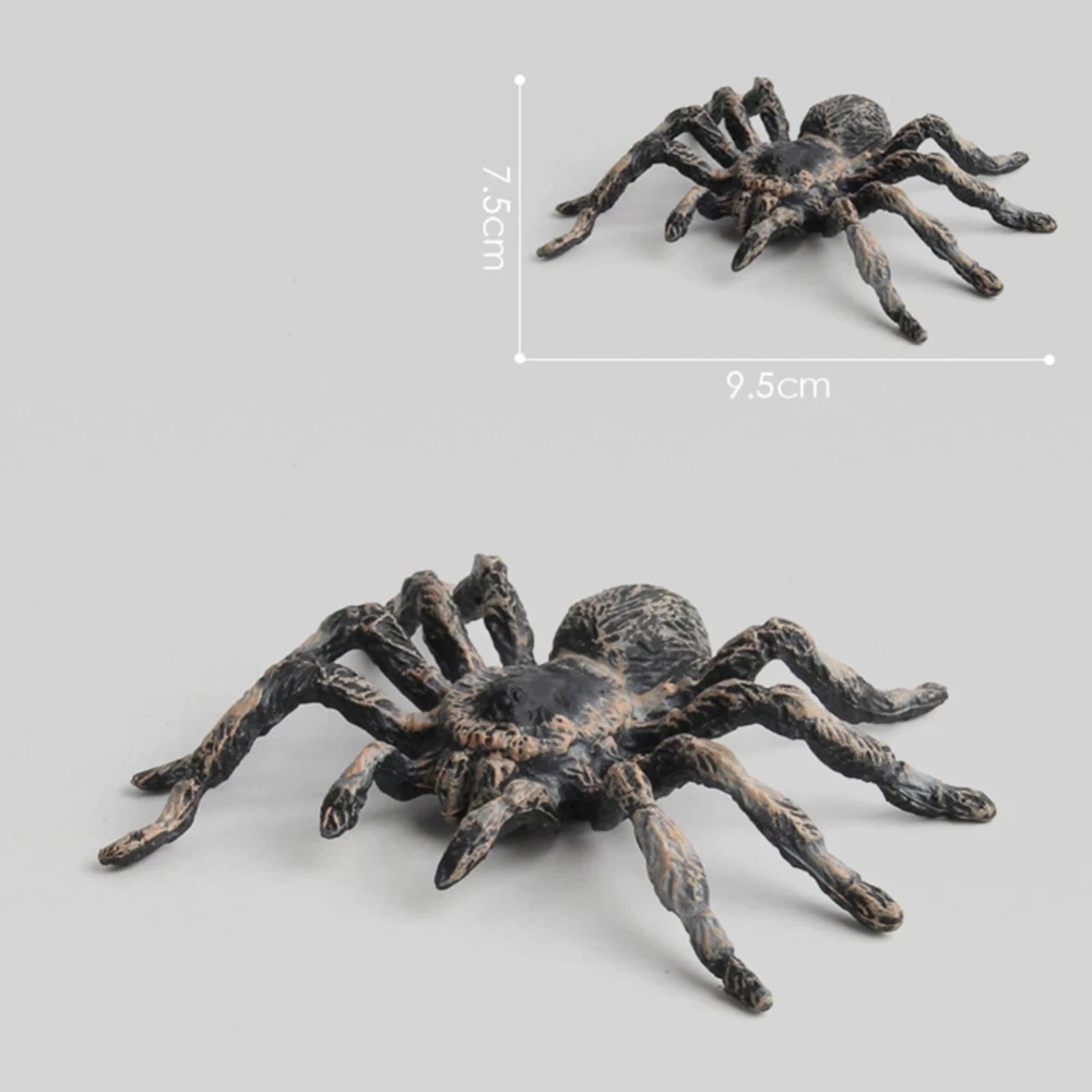  Ź   峭,  ǰ, 9.5cm, 2 