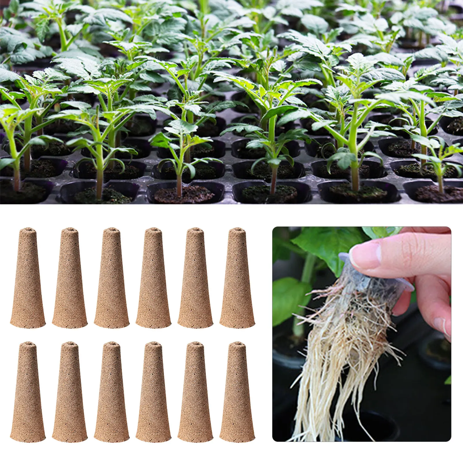 12Pcs Root Growth Sponges Seed Starter Pods Soft Replacement Grow