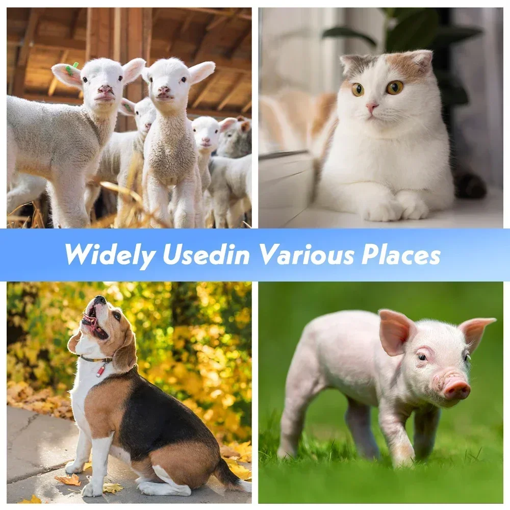 Wireless Veterinary Ultrasound Scanner Handheld Ultrasound Machine Wireless Colo