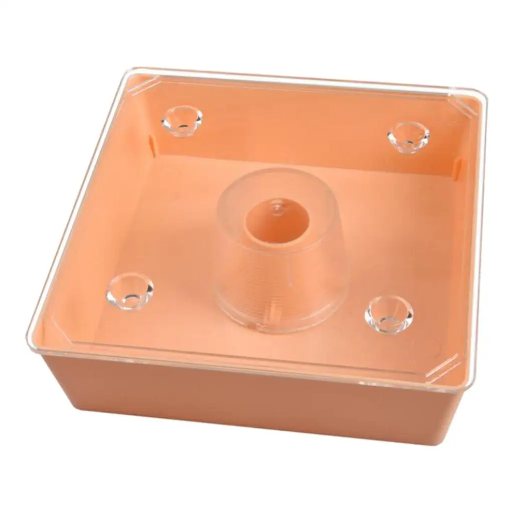 Square Approx. 2L Plastic Beehive Bee Feeder Beekeeping Supplies