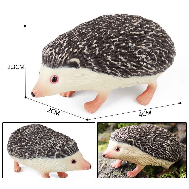 Hedgehog figure 9