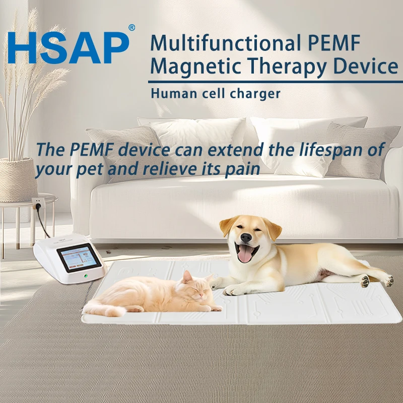 Portable multi-functional PEMF magnetic therapy device human body pain relief machine Improved red blood cell aggregation